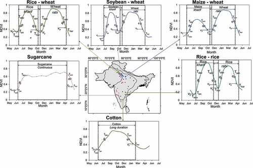 Figure 11. Spectral signatures obtained using MODIS derived NDVI data showing vegetation phenology and transition dates for irrigated crops during the kharif season. Map also shows the ground samples and ideal signatures of various crops (Note: sample size = 10) (ICRISAT Citation2022; Gumma et al. Citation2017).