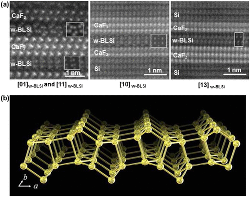 Figure 20. (a) HAADF-STEM images taken along three crystallographic directions and the corresponding simulation (insets) for w-BLSi. (b) Schematic of the w-BLSi atomic structure. Copyright (2016) by the Nature Publishing Group.