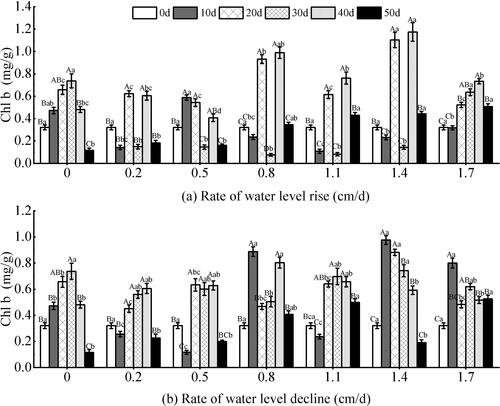 Figure 9. Effect of water level change on chlorophyll b (Chl b) of V. natans. Different capital letters indicate the difference between the same change rate and different test times, and different lowercase letters indicate the difference between the same test time and different change rates.