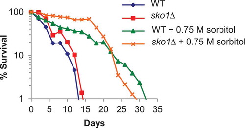 Figure 3. CLS extension by sko1Δ is distinct from hyperosmolarity-promoted longevity.CLS curves for WT and sko1Δ in the presence or absence of hyperosmolarity (0.75 M sorbitol) are shown. Experimental conditions were as described in Figure 1(b).