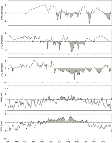 Fig. 5 Daily times series of δ18O anomalies in 2007 at Xi'an (a), Guangzhou (b), and Changsha (c), and corresponding wind circulation strength at 850 hPa over East Asia (0–50°N, 100–140°E): U200-zonal wind at 200 hPa representative of the dominating zonal wind strength (Arkin, Citation1982; Ropelewski et al., Citation1992), and V850-meridional wind at 850 hPa indicative of the dominant meridional wind strength.
