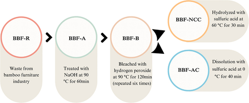 Figure 1. The flowchart of the purification and extraction process for bamboo nanocrystal cellulose (BBF-NCC) and bamboo amorphous cellulose (BBF-AC).