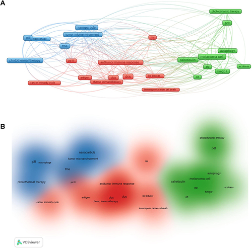 Figure 9 Overview of the literature visualization analysis on ICD induced therapies on melanoma in the last five years from the Web of Science. (A) Network visualization. (B) Density visualization.