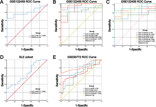 Figure 8 Diagnostic values of METTL1-coexpressed ImmuneDEGs in both discovery and validated cohorts. (A) ROC analysis for METTL1 in GSE122459; (B) ROC analysis for LAMP3, CD83, and PDCD1LG2 in GSE122459; (C) ROC analysis for IGKV5-2, IGKV3D-20, IGLV4-60, IGLV3-19, and IGKV2D-30 in GSE122459; (D) ROC analysis for METTL1 in our SLE cohort; (E) ROC analysis for LAMP3, CD83, and PDCD1LG2 in GSE50772.
