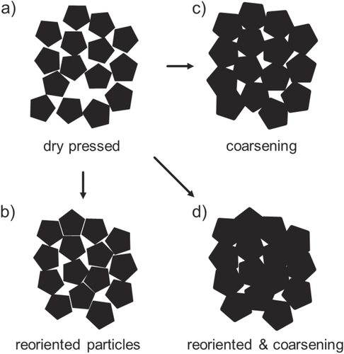 Figure 6. Schematic of the compaction process for polyhedral particles. Dry pressed particles for (a) as-received non-compacted powder, (b) after coarsening, (c) after reorientation and (d) combination of reorientation and coarsening.