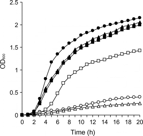 Fig. 1. Growth assays of A. hydrophila ΔentA, ΔdesA, ΔdesR and complementing strains.Notes: ΔentA, a mutant deficient in the cognate siderophore amonabactin, was grown in iron-limiting DFOB negative medium (−Fe/−DFOB; open circle) and iron-limiting medium containing DFOB (−Fe/+DFOB; filled circle). ΔentAΔdesA and ΔdesRΔentA, generated from the entA deletion mutant (ΔentA), and their complementing strains were grown in −Fe/+DFOB medium. ΔentAΔdesA/pRK415 (empty), open triangle; ΔentAΔdesA/pRK415-desA, filled triangle; ΔentAΔdesR/pRK415 (empty), open square; and ΔentAΔdesR/pRK415-desR, filled square. OD600 was measured every hour for 20 h. A representative example from three independent experiments is shown.