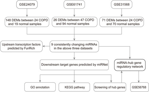 Figure 1 Flow chart of constructing the miRNA–mRNA regulatory network in COPD plasma.