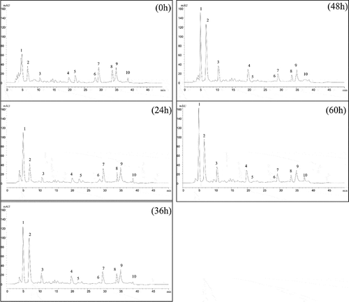 Figure 5. Reverse phase high-performance liquid chromatography (RP-HPLC) profiles of fermented okara at different periods.Figura 5. Perfiles cromatográficos líquidos de alta resolución de fase inversa (RP-HPLC) de okara fermentada en diferentes periodos.