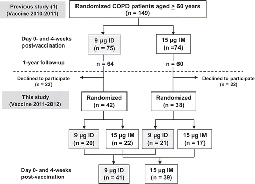 Figure 1. Flow chart demonstrating stratified randomization for intradermal (ID) and intramuscular (IM) injection of the 2011–2012 vaccine in chronic obstructive pulmonary disease (COPD) patients.