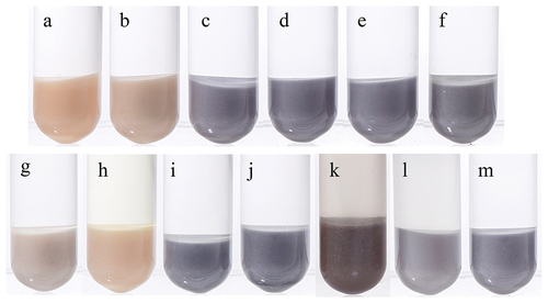 Figure 4. Color development of FS solution and LRS under different conditions. The pH of the FS solution was 1 (A), 2 (B), 3 (C), 4 (D), 5 (E) and 6 (F). Effects of ascorbic acid (G), EDTA-2Na (H), maltodextrin (I) and sucrose (J) on the color development system. Color development of LRS produced in different years with FS solution: 2018 (K), 2019 (L) and 2020 (M).