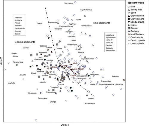 Figure 7. Ordination plot (DCA) of field registrations from 196 video sequences (~200 m long) from all 38 stations.