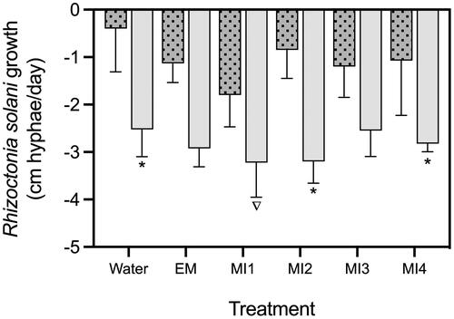 Figure 5. Illustrated are means ± 1 standard deviation of increased suppressiveness of the same material with living microbes than without microbes (autoclaved). Negative values represent suppressive potential. Solid fill bars represent treated hemp that was cured in soil for 4 weeks (n = 4) while speckled bars represent uncured hemp (n = 4). Treatments are labeled on the x-axis with corresponding code (water: hemp waste treated with water; EM: hemp waste treated with Effective MicroorganismsTM liquid inoculant; MI1: hemp waste treated with Imio microbial inoculant 1; MI2: hemp waste treated with Imio microbial inoculant 2; MI3: hemp waste treated with Imio microbial inoculant 3; MI4: hemp waste treated with Imio microbial inoculant 4). Statistical differences between cure phases within the same treatment group are marked with an asterisk (p < 0.05). Statistical differences between treatments with respect to water are marked with a Delta symbol (p < 0.05). Error bars represent plus 1 standard deviation.