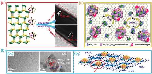 Figure 13. The support effect of hetero-interfaces for photocatalytic water splitting. (a) the structure diagram and HRTEM images of Co-Ni Species/CdS hetero-interfaces. (Reproduced with permission from [Citation122], Copyright 2017, Wiley) (b) MoS2/g-C3N4/GO hetero-interfaces: (b1) TEM and HRTEM images; (b2) the structure diagram. (Reproduced with permission from [Citation123], Copyright 2017, American Chemical Society) (c) the possible charge transfer process and the catalytic reaction mechanism on NiS/Cd0.8Zn0.2S/rGO hetero-interfaces. (Reproduced with permission from [Citation110], Copyright 2018, American Chemical Society).