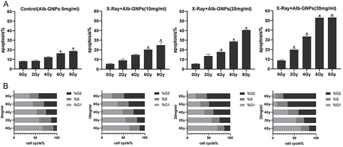 Figure 4 Apoptosis analysis and cell cycle distribution of A549 cells in each group in vitro. (A) The rate of cell apoptosis of different treatment groups, *p<0.05. (B) Cell cycle distribution of A549 cells for different treatment groups (P<0.05 in all cases).