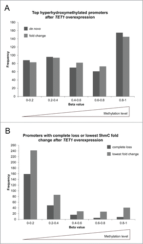 Figure 9. TET1 oxidates 5mC preferably at highly methylated promoters. The promoters showing the highest de novo or fold change increase of 5hmC (A) and those promoters characterized by a complete loss or lowest fold change of 5hmC upon TET1 overexpression (B) are grouped according to their basal, endogenous methylation levels as determined by the HumanMethylation450 BeadChip experiments. Comparisons between 5hmC and HumanMethylation450 data were only performed for genes with identical gene symbol annotations in both data sets (top de novo promoters: n = 470, top fold change promoters: n = 477, complete loss promoters: n = 237, lowest fold change promoters: n = 424).