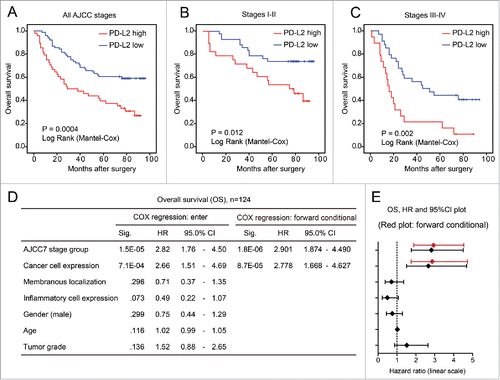 Figure 2. PD-L2 overexpression associates with poor overall survival of patients with colorectal cancer. (A–C) The univariate Kaplan–Meier analysis showing the survival curves of patients with high/low PD-L2 expression. The association between PD-L2 overexpression and poor overall survival is significant in (A) all patients, (B) earlier CRC patients with AJCC stage I–II, and (C) late CRC patients. The p values are indicated in the graph. (D) The multivariate COX regression model indicating the association of different factors with overall survival of CRC patients. The results of forward stepwise model are shown on the right. (E) The plot shows the hazard ratios and 95% confidence interval (CI) of different factors in the COX regression model. The result of forward stepwise model (forward conditional) is marked in red.