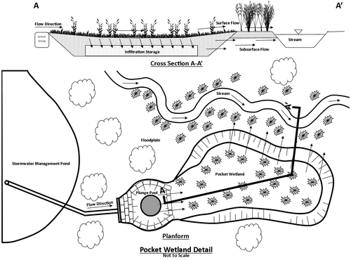 Figure 1. An illustration of a pocket wetland (PW) and the intended flow paths. It is a small constructed wetland located at the outfall of a stormwater management pond. The intent of this design is to intercept stormwater, providing additional flow attenuation and mitigation of poor water quality associated with residential neighborhoods. The PW is heavily vegetated and has a porous storage medium to promote storage of small runoff events and groundwater inputs to the adjacent stream. Larger runoff events may flow through as surface runoff. The PW is designed to promote cooling, aggradation and sedimentation to improve effluent water temperature, total suspended solids (TSS) and total dissolved solids (TDS).