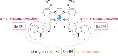 Figure 6. Schiff base nickel metal complex 23 and the docking study of this compound.