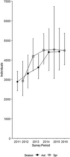 Figure 2. Estimates of Common Buzzard Buteo buteo population size within the study area in central south England for each survey period between autumn 2011 and spring 2016 (± 95% confidence intervals).