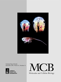 Cover image for Molecular and Cellular Biology, Volume 25, Issue 21, 2005
