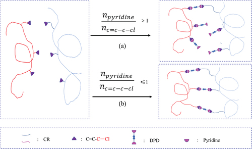 Figure 7. Schematic diagram of the crosslinking reaction between CR and DPD at different molar ratios of pyridine⁄(C=C-C-Cl).