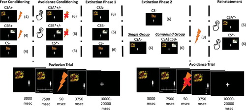 Figure 1. Experimental phases. Fear ratings were collected before and after each phase. The number of trials in each phase is presented in brackets. msec: milliseconds. +: US presentation. -: US absence. *: Avoidance availability.