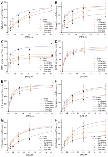 Figure 4 Inhibition of Eg5 and KIF4A enzyme kinetics by Aβ 1–42 displays a competitive mechanism of inhibition, whereas inhibition of MCAK by Aβ 1–42 displays a non-competitive mechanism. Effects of 50 nM, 0.5 and 5.0 µM Aβ 1–42 on [ATP] (A–E) and [MT] (F–H) dependent kinetics of recombinant motor domains of human Eg5 (A and F), KIF4A (B and G), MCAK (C and H), CENP-E (D) and KHC (E) studied by using ELIPA kinetics kit (Cytoskeleton Inc.).