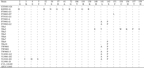 Figure 3. Alignment of the amino acid sequences of ompA of the Riemerella anatipestifer strains using the Clustal method with weighted residue weight table. Only residues different to the majority are shown.