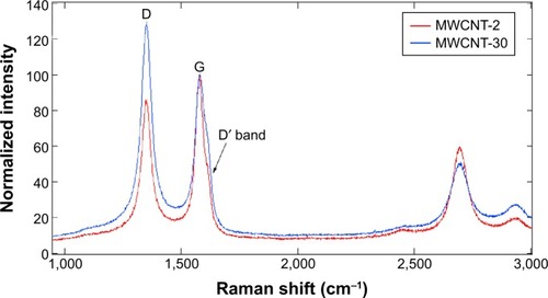 Figure 2 Raman spectra of carboxylated MWCNT-2 and MWCNT-30.Notes: D-band (~1,350 cm−1) was found along with the characteristic G-band (~1,580 cm−1). Both MWCNTs also exhibited at a higher frequency shoulder to the G-band (known as the D′ band ~1,620 cm−1) suggesting high defect densities in MWCNTs. The ratio of D- to G-band areas (ID/IG) was 0.97 and 1.37 for MWCNT-2 and MWCNT-30, respectively, indicating that MWCNT-30 samples contain more defects.Abbreviation: MWCNT, multiwalled carbon nanotube.