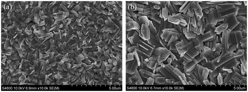 Figure 1. SEM images of film deposited using optimised growth parameters at different growth temperatures: (a) 432 °C; (b) 472 °C.