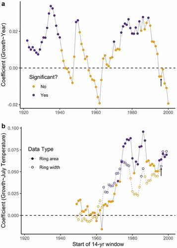 Figure 6. (a) The changes in growth trends and the (b) relationship with July temperature over time. (a) Each point represents the linear model coefficient relating growth and year for the fourteen-year window starting from the year on the x-axis. This linear model was significant if the point is purple. (b) The linear model coefficient for July temperature with ring width or ring area, for the same fourteen-year windows. The results that use data from the same years as our shrub cover analysis correspond to black arrows in each plot