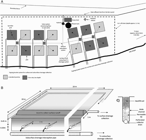 Figure 1. A, Schematic diagram of the trial site showing the layout of plots and assignment of treatments. B, The design of the plots and C, the drainage collection system.