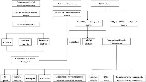 Figure 1 Flow chart of this research.