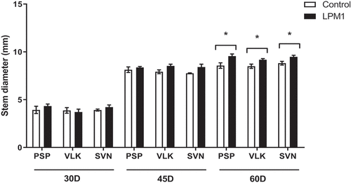 Figure 2. Stem diameter of bell pepper varieties under shade house conditions. (PSP) Prosperity, (VLK) Valkiria, and (SVN) Sven at 30, 45, and 60 days after inoculation with Bacillus subtilis LPM1 (black bars) and uninoculated control (white bars). Level of significance: *, p ≤ 0.05; one-way ANOVA.