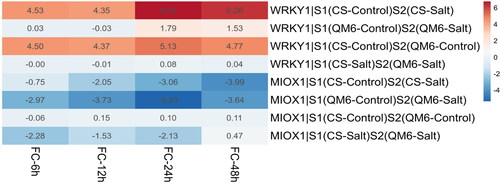 Figure 5. Heatmap represents the comparative expression levels results of the MIOX1 and WRKY1 genes between the QM6 cultivar (tolerant) and CS cultivar (sensitive) at four different timepoints.