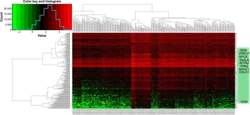 Figure 3 Heat map of the 256 prognosis-related differentially expressed genes.