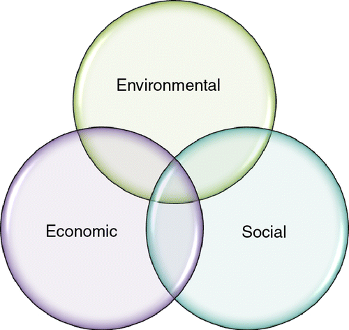 Figure 1 Frequently used model of interacting concepts for sustainability (Dow Jones Citation2008).