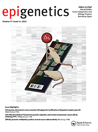 Cover image for Epigenetics, Volume 17, Issue 12, 2022