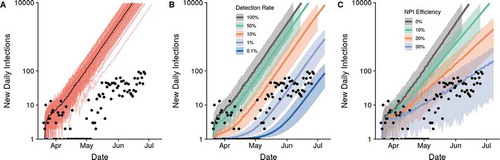 Figure 1. The lower-than-expected daily incidence can be explained by detection rates of 0.1–1% or NPI efficiencies of 30% alone. Predicted epidemic trajectories for the unmitigated scenario (a), range of detection rates (b), and range of NPI efficiencies (c). Results from 100 simulations are shown in A with the black line representing the median number of cases. Shaded regions represent the 95% confidence intervals around the median in panels B and C. All simulations began on the date of the first positive imported case in Madagascar, 20 March 2020. The y-axis is plotted on the log10-scale.