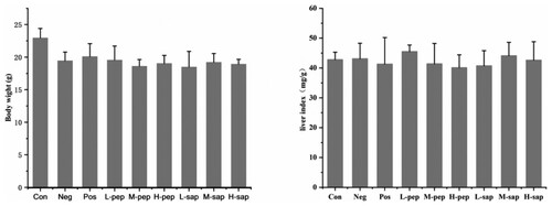 Figure 1. Body weight and hepatic index of mice.