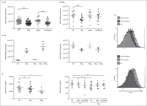 Figure 3. TNFα markedly and selectively downregulates NCR1 expression. (A-C) Regulation of expression of NCR1 in purified blood NK cells from HV (A) and melanoma patients (B) following 12 h-stimulation with rTNFα at 50 ng/mL or NKp30 engagement or rTGFβ at 5 ng/mL (C). Each dot represents one HV or patient. (D-E) NKp46 protein expression on the cell surface of NK cells as assessed in flow cytometry at 48 h post-stimulation at increasing dosing of rTNFα (5 or 50 ng/mL) or rTGFβ (5 ng/mL) in concatenated data from at least 6 HV (left panel) and 6 metastatic melanoma (MM, right panel) (D) and in two representative individuals in overlayed mean fluorescence intensities (E), one treated with rTNFα and TGFβ (upper panel) and another with different concentration of rTNFα (lower panel). Of note, neutralizing anti-TNFR2 Ab inhibits the down regulation of NKp46 at the surface of MM. MFI were superimposable using an isotype control staining in all conditions of stimulation (not shown). Student paired t-test for A, Wilcoxon matched pairs test (B-D): * p < 0.05, ** p < 0.01, *** p < 0.001.