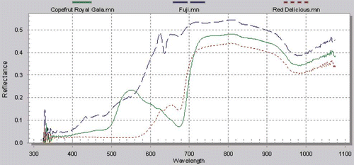 Figure 2 Near infrared reflectance spectra of three different apple varieties.