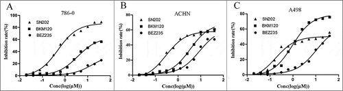 Figure 3. Inhibition potential of SN202 against RCC. The inhibitory effect of SN202 on cell proliferation was determined by CCK-8 assay. 786-0 (A), ACHN (B) and A498 (C) cells were treated with varying concentrations of SN202, BKM120 and BEZ235. Data are presented as the means of three independent experiments.