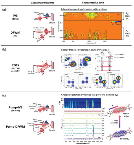 Figure 3. Experimental schemes of time-domain Raman spectroscopic techniques and their representative data. (a) IVS and DFWM. Representative wavelength-resolved impulsive Raman map of β-carotene obtained by IVS reveals vibrational spectra of S1 (bottom) and S2 (top) states. Adapted from [113], copyright 2014 American Physical Society. (b) 2DES. Experimental 2D beating maps of PC645 protein in algae (top) can be theoretically simulated based on whether the VCs are purely vibrational (bottom left) or vibronic (bottom right) in origin. Adapted from [80], copyright 2016 Elsevier Inc. (c) Pump-IVS and Pump-DFWM. Time-resolved Raman spectra of a donor-acceptor-donor-type perylene diimide dye obtained by Pump-IVS reveals continuous evolution of vibrational spectrum during charge separation. Adapted from [85], copyright 2020 Wiley-VCH Verlag GmbH &Co. KGaA