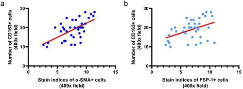 Figure 9 Correlation of CD163, α-SMA, and FSP-1 expression levels in liver metastases cancer tissues. (a) Correlation between the Number of CD163+ cells and the stain indices of α-SMA+ cells. (b) Correlation between the Number of CD163+ cells and the stain indices of FSP-1+ cells.