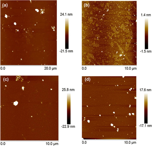 Figure 1. The AFM images of different NS: (a) AS, (b) MS, (c) CS, (d) RS.