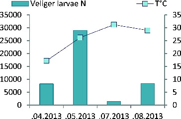 Figure 8. Seasonal dynamics of the veliger larvae N (ind m−3) in the Ovcharitsa Reservoir in 2013.