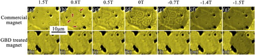 Figure 5. MOKE images of magnetic domain evolution of individual grain in the commercial Nd–Fe–B sintered magnet (upper row) and GBD-treated Nd–Fe–B sintered magnet (lower row) in the field of 1.5 T to −1.5 T.