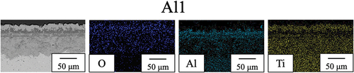 Figure 6. SEM and EDS images of the cross-sections of Al1 after 14 d of isothermal oxidation in laboratory air at 800°C.