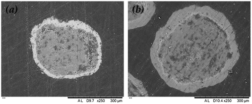 Figure 4. Scanning electron microscopy (SEM) micrograph of the cross-section of a single SPC particle (a) coated with sodium sulphate (coating/core ratio = 50 wt.%) and (b) 1.6R sodium silicate (coating/core ratio = 27 wt.%).